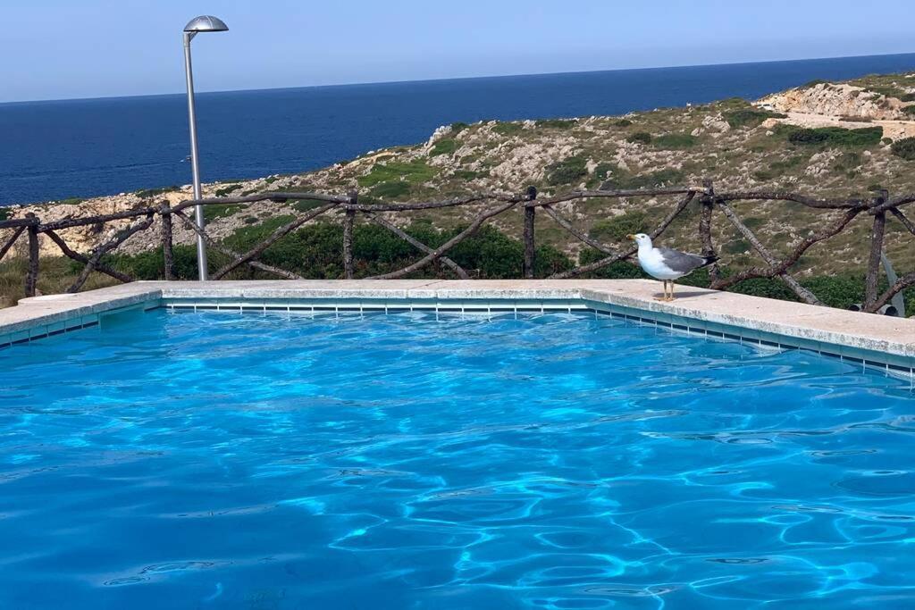 סון פארק Apartamento A Estrenar Con Vistas Al Mar. מראה חיצוני תמונה
